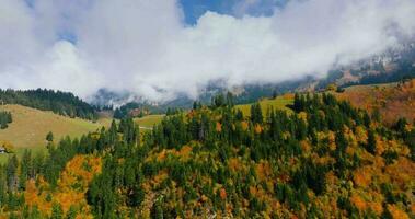 aereo Visualizza di il bellissimo autunno svizzero natura, Svizzera video