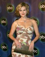 Sara Rue ABC TV TCA Party The Wind Tunnel Pasadena CA January 21 2006 2006 Kathy Hutchins Hutchins Photo