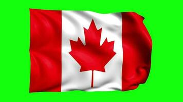 3d bandera animación de Canadá video