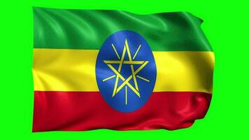3d vlag animatie van Ethiopië video