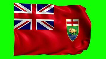 3d drapeau animation de manitoba video