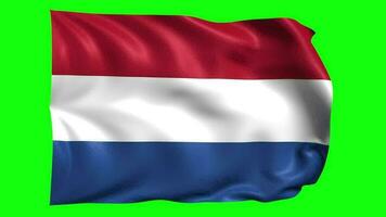 3d Flagge Animation von Niederlande video