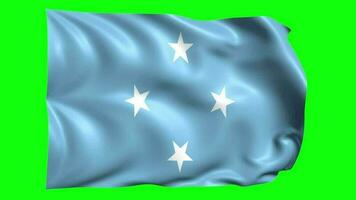 3D Flag Animation of Micronesia video