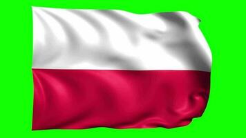 3d Flagge Animation von Polen video