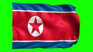 3D Flag Animation of North Korea video