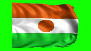 3d vlag animatie van Niger video