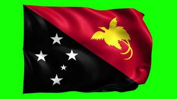 3d bandera animación de Papuasia nuevo Guinea video