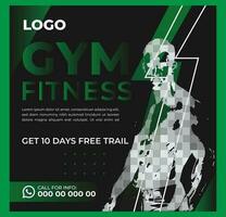 social media posts collection for gym with vector