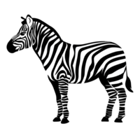 Zebra transparent Hintergrund, ai generativ png