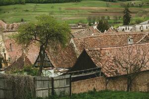 biertan un muy hermosa medieval pueblo en transilvania, Rumania. un histórico pueblo en Rumania ese tiene Preservado el franco y gótico arquitectónico estilo. viaje foto. foto