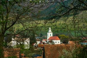 Rimetea is a small village located in Transylvania, Romania. It is situated in the Apuseni Mountains and is known for its picturesque setting and well preserved Hungarian architectural style. photo