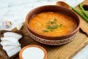 Cabbage soup in bowl with green onion, bread and salo on white background photo