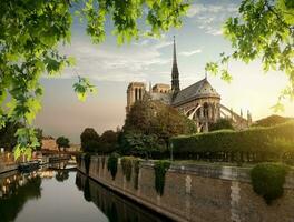 Notre Dame and park photo