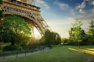 Lawn near Eiffel Tower photo