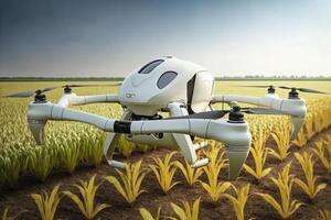 Farming automation using drones over on fields, future agriculture, photo