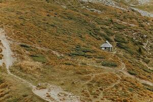 el campo en el montañas es esparcido con piedras foto