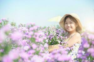 Cute girl and Michaelmas Daisy or New York Aster flower field, photo
