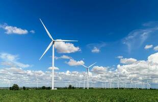 Windmills for electric power production in  Cassava field on blue sky photo