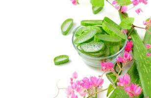 Slice Aloe Vera in glass with pink  creeper isolated on white. photo