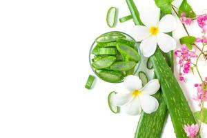 Slice Aloe Vera in glass with pink  creeper and Plumeria flower. photo