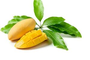 delicioso diapositiva maduro amarillo mango con verde hoja aislado en blanco foto