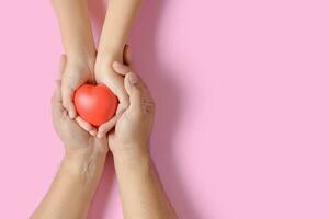 adult and child hands holding red heart isolated on pink photo