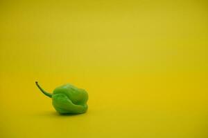 katokkon chile. verde toraja chile aislado en amarillo antecedentes. uno de el mas caliente chiles en Indonesia. foto