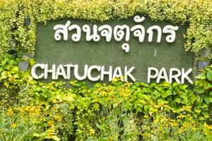Signs and flowers in Chatuchak Park photo