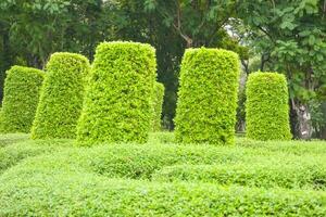 hermosamente decorado jardín en el jardín de bangkok, Tailandia foto