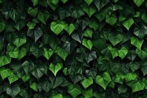 Abstract Ivy Branches Pattern on Green Textured Wall Background photo