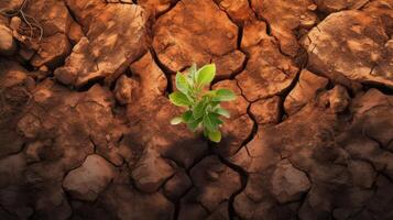 tierra seca con largo horizonte y pequeño verde salir de cerca creado con generativo ai tecnología foto