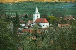 Rimetea is a small village located in Transylvania, Romania. It is situated in the Apuseni Mountains and is known for its picturesque setting and well preserved Hungarian architectural style. photo