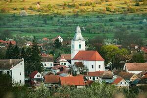 Rimetea es un pequeño pueblo situado en transilvania, Rumania. eso es situado en el apuseni montañas y es conocido para sus pintoresco ajuste y bien Preservado húngaro arquitectónico estilo. foto