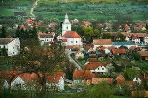 Rimetea es un pequeño pueblo situado en transilvania, Rumania. eso es situado en el apuseni montañas y es conocido para sus pintoresco ajuste y bien Preservado húngaro arquitectónico estilo. foto