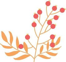 branch with leafs and seeds isolated icon vector illustration design