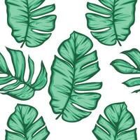 Philodendron leaves seamless pattern, floral seamless pattern vector