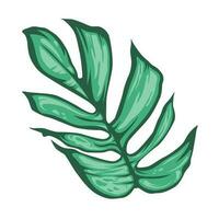 monstera deliciosa hoja vector, realista diseño aislado en blanco fondo, vector