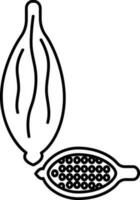 Isolated Cardamom Pods Icon In B vector