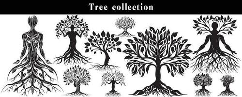 conjunto de siluetas de arboles negro y blanco árbol vector colocar. árbol silueta conjunto en blanco antecedentes.