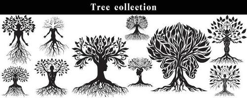 conjunto de siluetas de arboles negro y blanco árbol vector colocar. árbol silueta conjunto en blanco antecedentes.