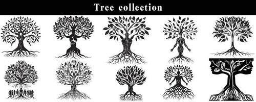 conjunto de siluetas de arboles negro y blanco árbol vector colocar. árbol silueta conjunto en blanco antecedentes.