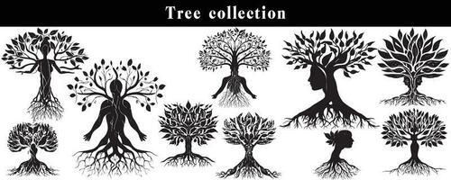 set of silhouettes of trees. black and white tree vector set. tree silhouette set on white background.