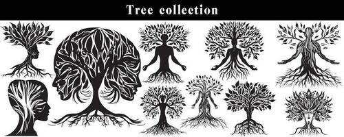 set of silhouettes of trees. black and white tree vector set. tree silhouette set on white background.