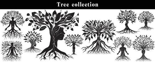 conjunto de siluetas de arboles negro y blanco árbol vector colocar. árbol silueta conjunto en blanco antecedentes.