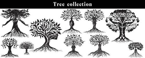 conjunto de siluetas de arboles negro y blanco árbol vector colocar. árbol silueta conjunto en blanco antecedentes.