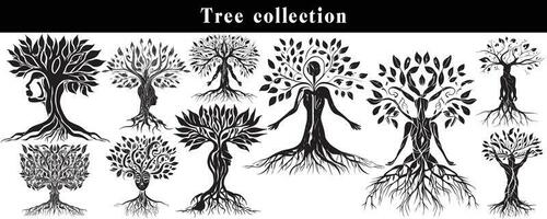 set of silhouettes of trees. black and white tree vector set. tree silhouette set on white background.