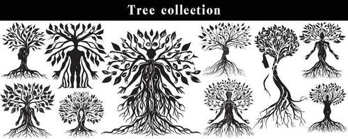 conjunto de siluetas de arboles negro y blanco árbol vector colocar. árbol silueta conjunto en blanco antecedentes.