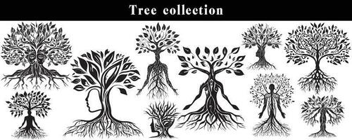 set of silhouettes of trees. black and white tree vector set. tree silhouette set on white background.