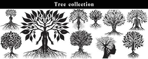 conjunto de siluetas de arboles negro y blanco árbol vector colocar. árbol silueta conjunto en blanco antecedentes.