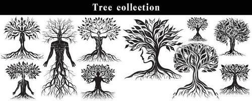 set of silhouettes of trees. black and white tree vector set. tree silhouette set on white background.